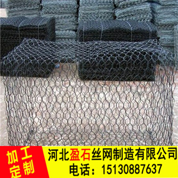 生态菠萝在线视频 